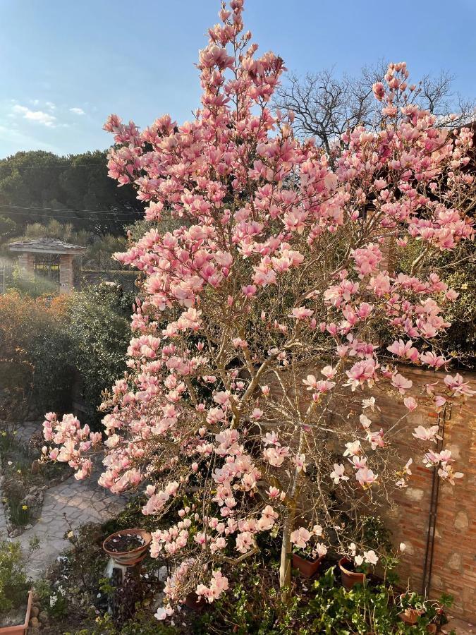 C'Era Una Volta B&B Perugia Kültér fotó